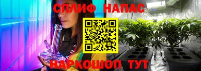 стаф Ставрополь